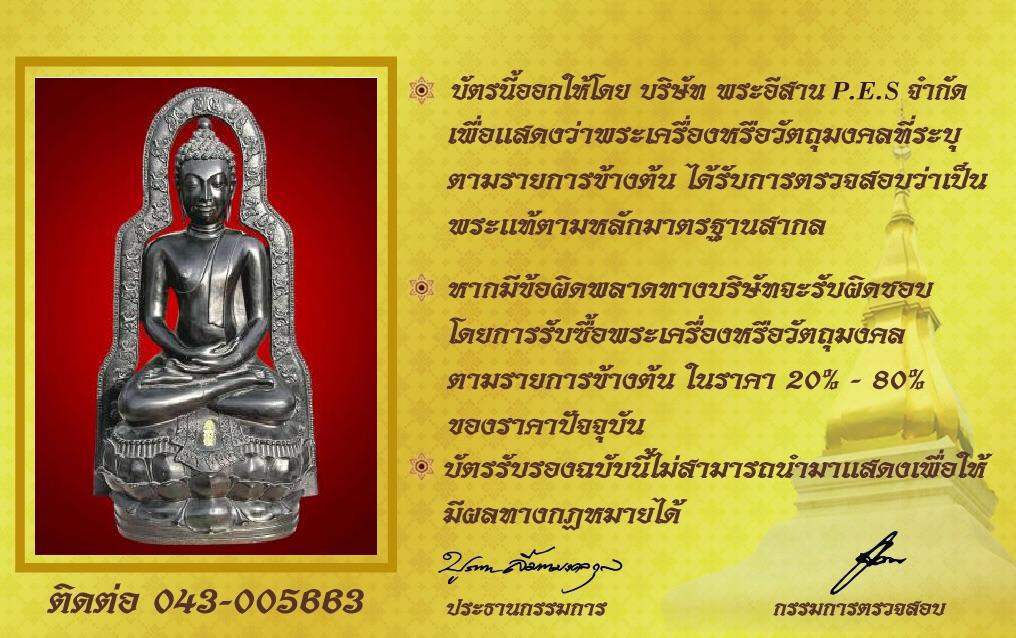 รูปด้านหลัง