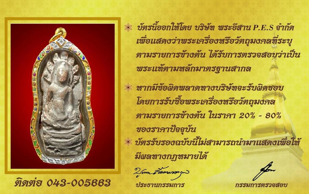 รูปด้านหลัง