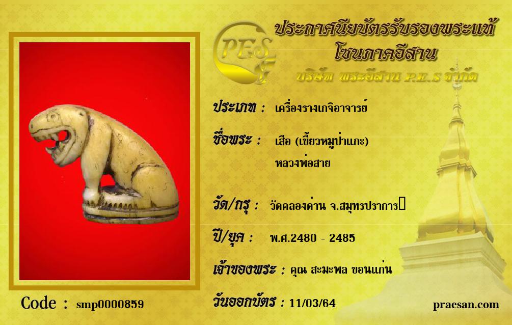 เสือ (เขี้ยวหมูป่าแกะ) 
หลวงพ่อสาย 